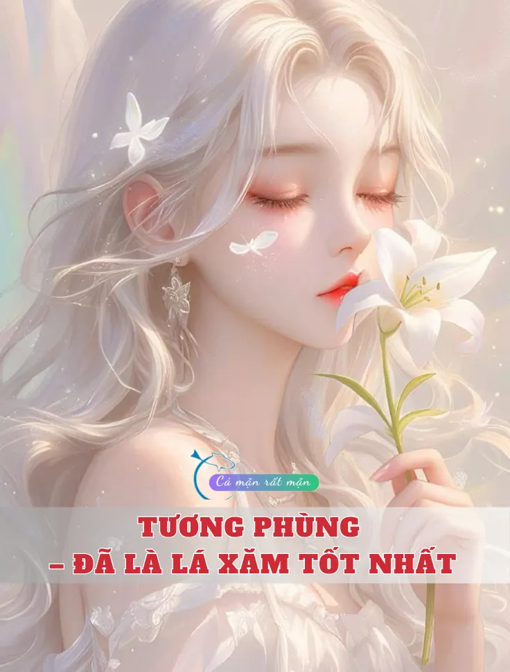 Tương Phùng – Đã Là Lá Xăm Tốt Nhất