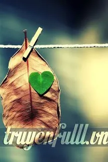 Vụng Dại Tuổi 17